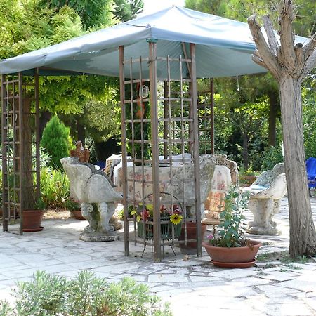 Bed&Breakfast Giardino Agritourist Controguerra Zewnętrze zdjęcie