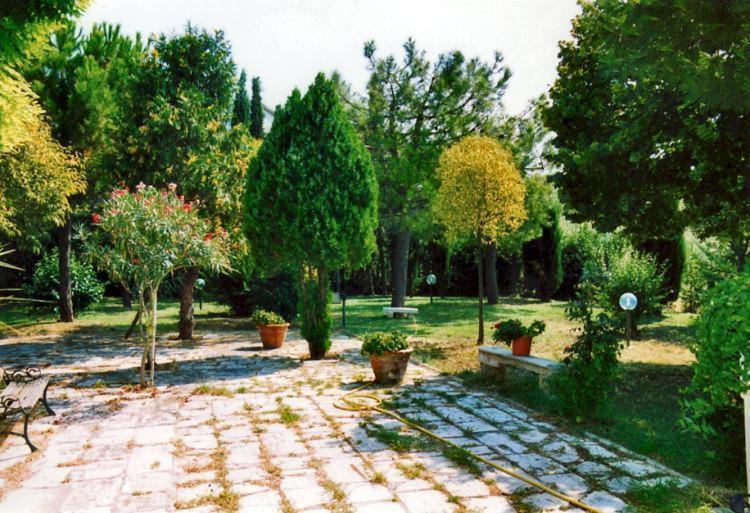 Bed&Breakfast Giardino Agritourist Controguerra Zewnętrze zdjęcie